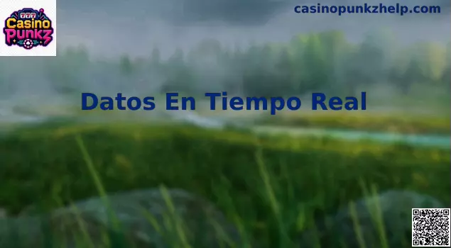 Datos en tiempo real Casino Punkz México
