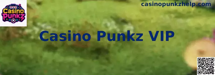 Introducción visual de Casino Punkz VIP